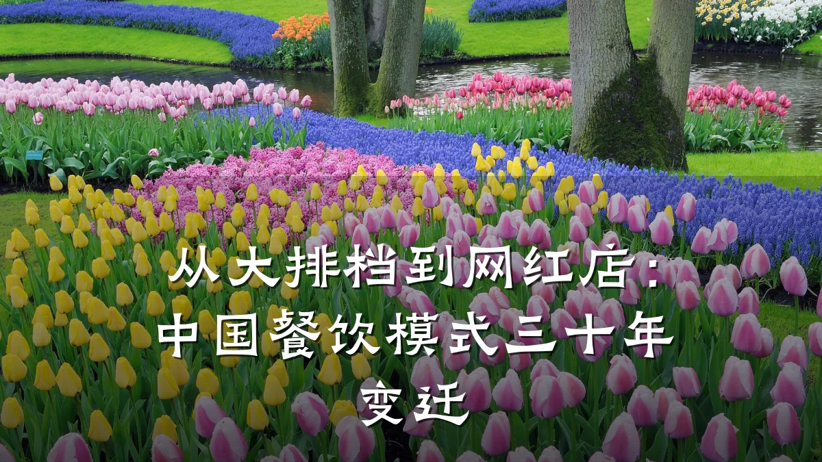 从大排档到网红店:中国餐饮模式三十年变迁