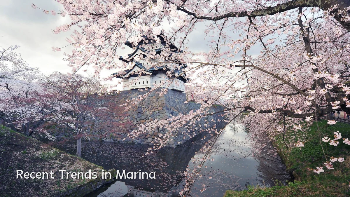 Recent Trends in Marina