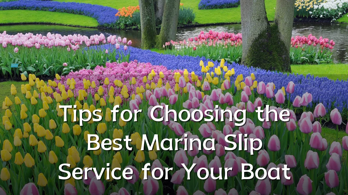 Tips for Choosing the Best Marina Slip Service for Your Boat