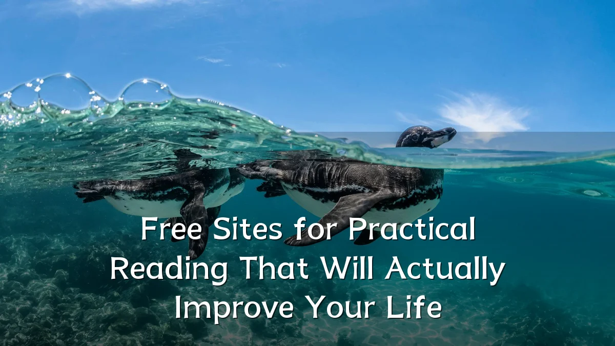 Free Sites for Practical Reading That Will Actually Improve Your Life