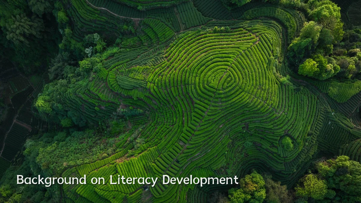 Background on Literacy Development