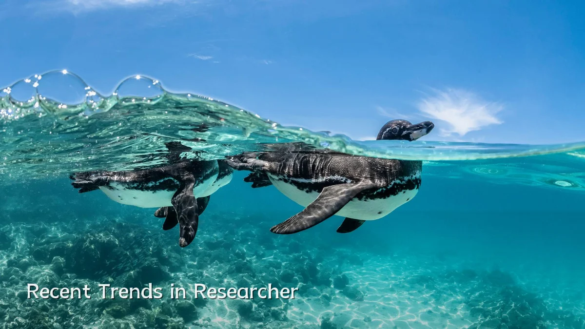 Recent Trends in Researcher