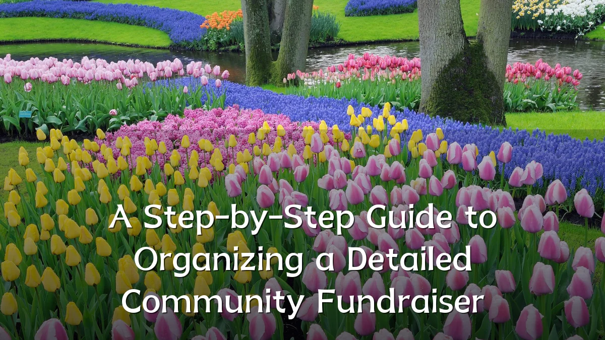 A Step-by-Step Guide to Organizing a Detailed Community Fundraiser