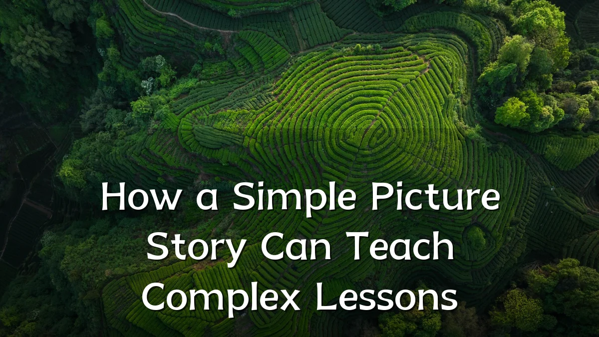 How a Simple Picture Story Can Teach Complex Lessons