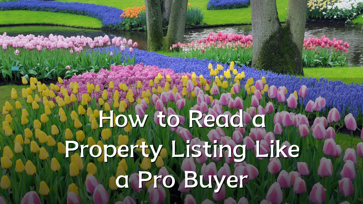 How to Read a Property Listing Like a Pro Buyer