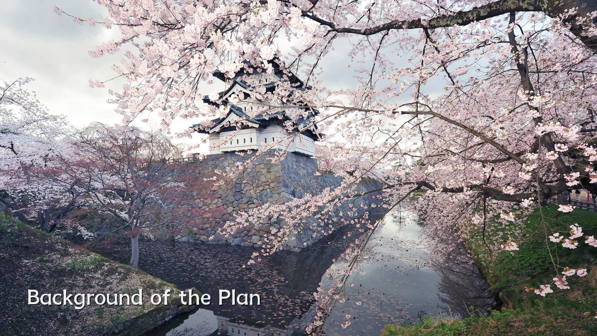 Background of the Plan