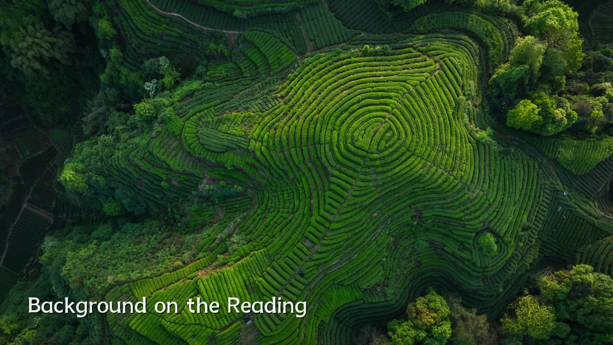 Background on the Reading