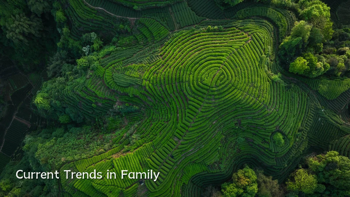 Current Trends in Family