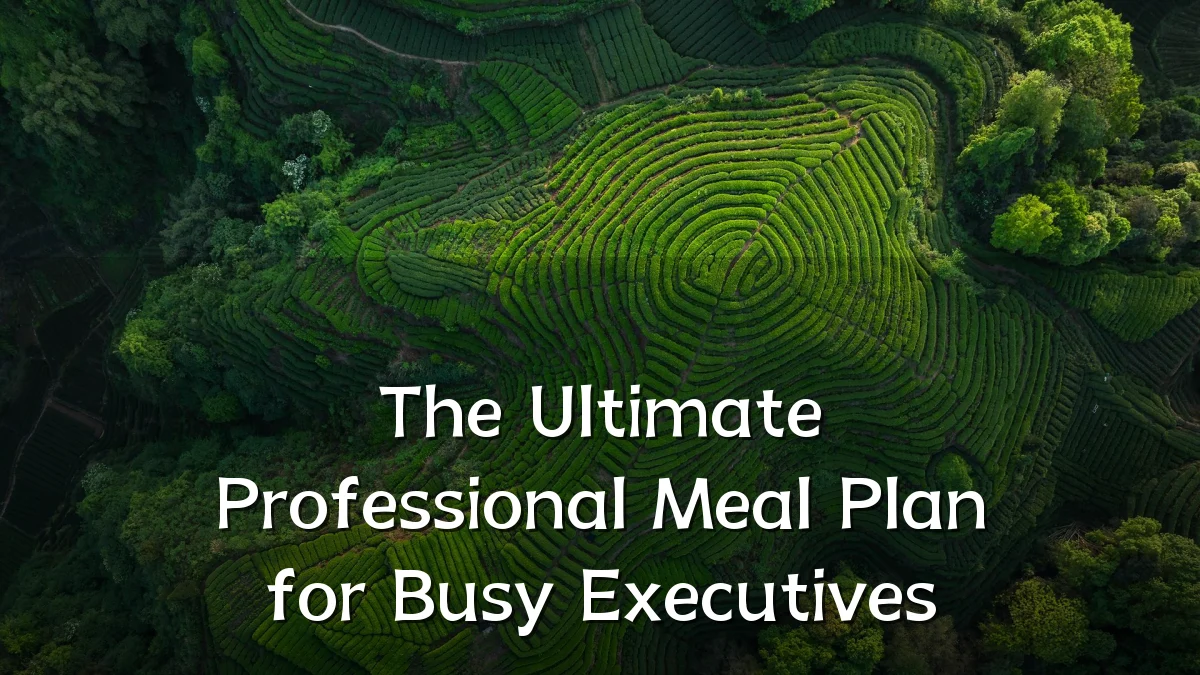The Ultimate Professional Meal Plan for Busy Executives