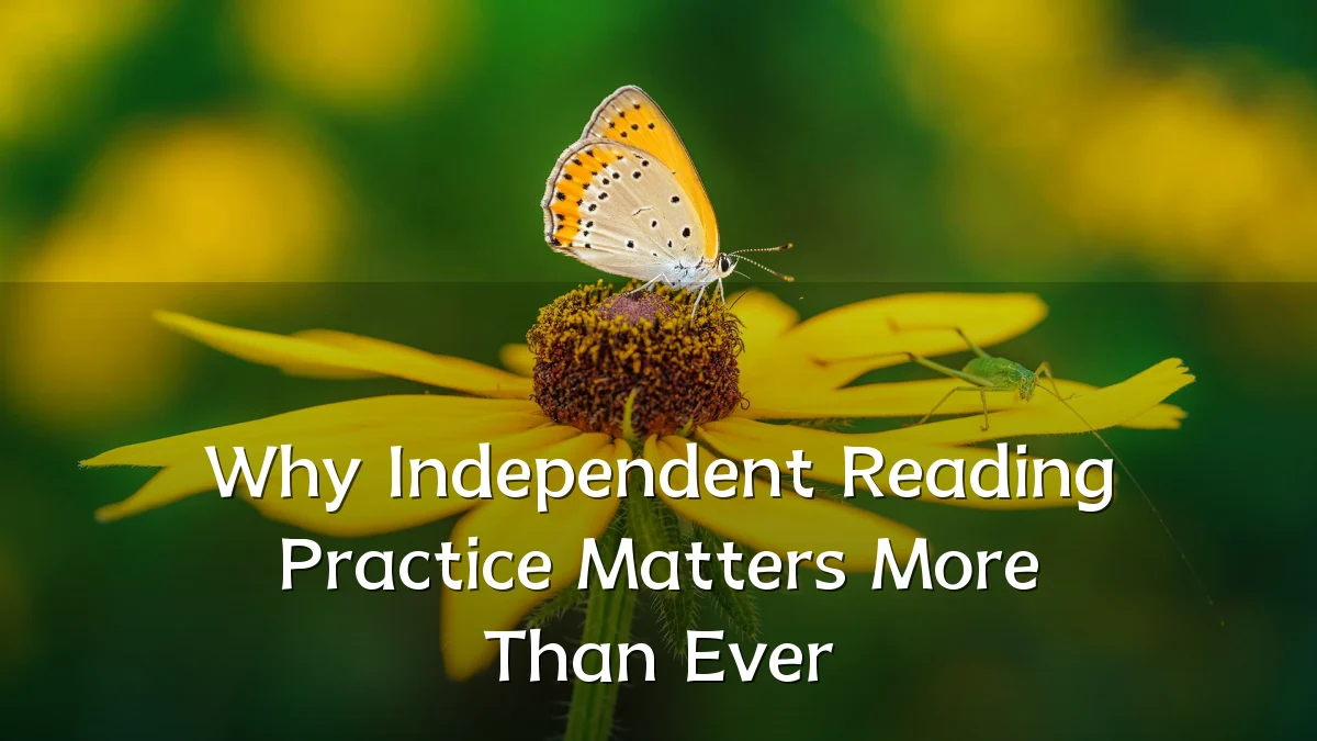 Why Independent Reading Practice Matters More Than Ever