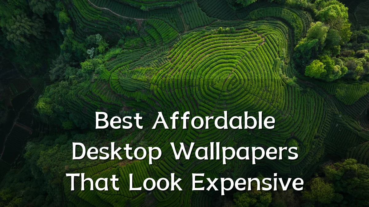 Best Affordable Desktop Wallpapers That Look Expensive