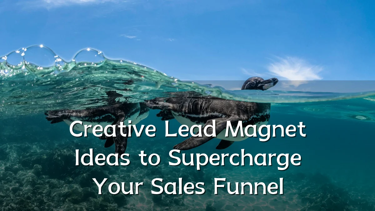 Creative Lead Magnet Ideas to Supercharge Your Sales Funnel