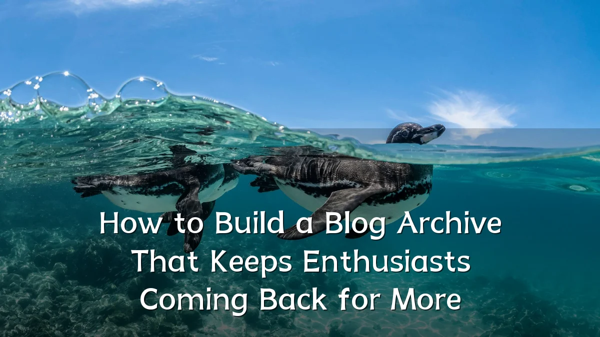 How to Build a Blog Archive That Keeps Enthusiasts Coming Back for More