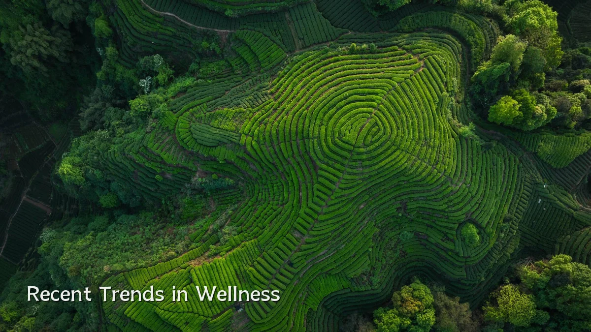 Recent Trends in Wellness