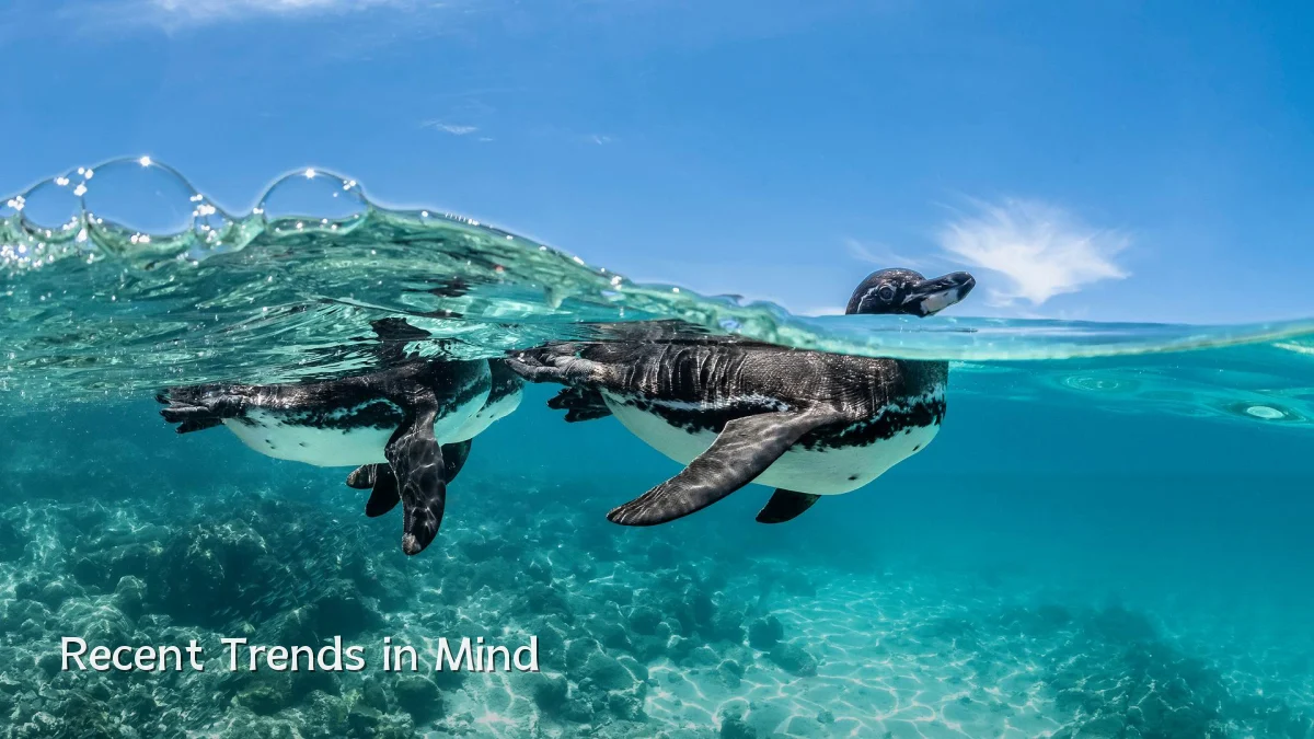 Recent Trends in Mind