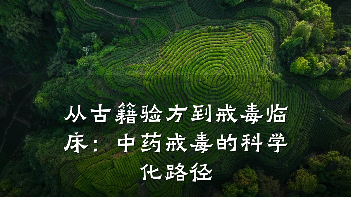 从古籍验方到戒毒临床:中药戒毒的科学化路径