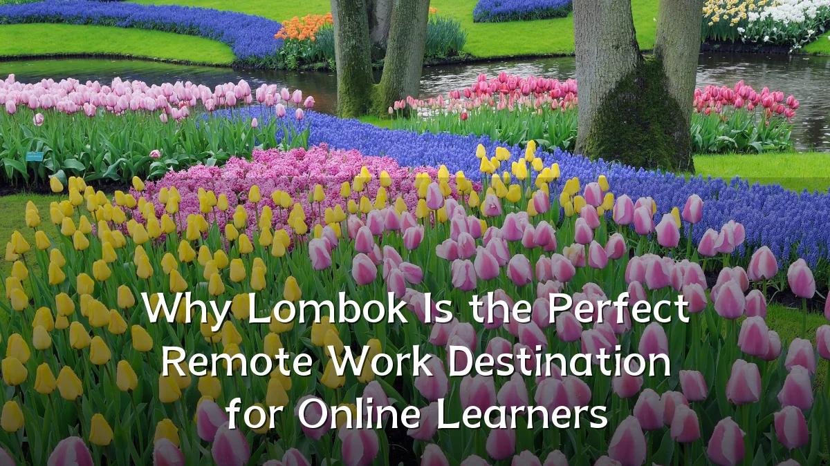 Why Lombok Is the Perfect Remote Work Destination for Online Learners
