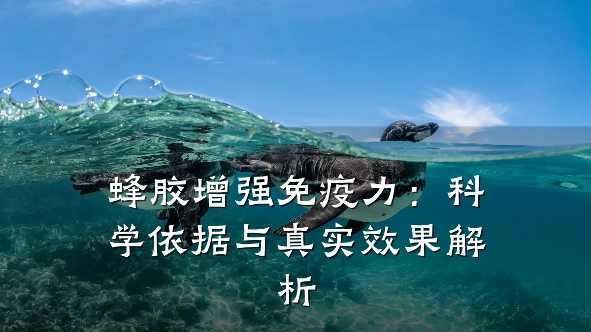 蜂胶增强免疫力：科学依据与真实效果解析