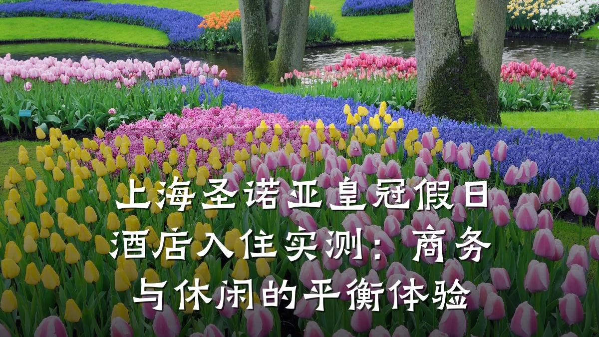上海圣诺亚皇冠假日酒店入住实测:商务与休闲的平衡体验