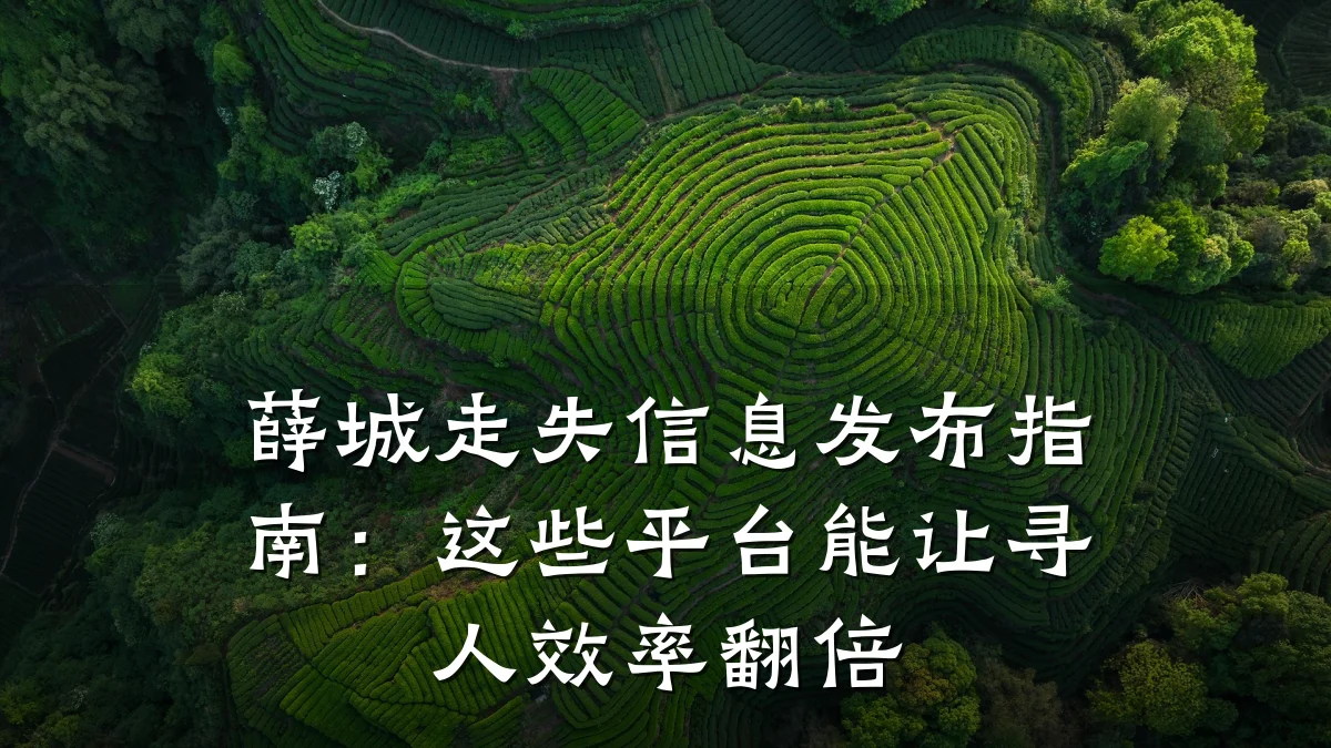 薛城走失信息发布指南:这些平台能让寻人效率翻倍
