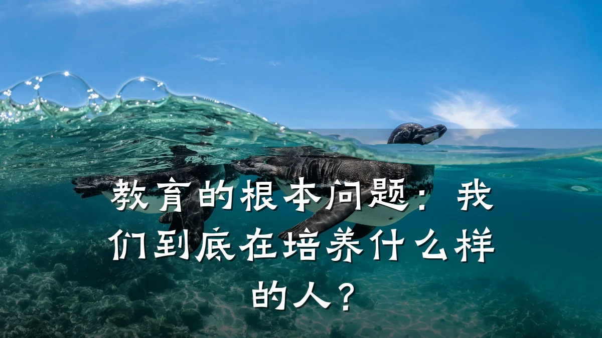 教育的根本问题：我们到底在培养什么样的人？