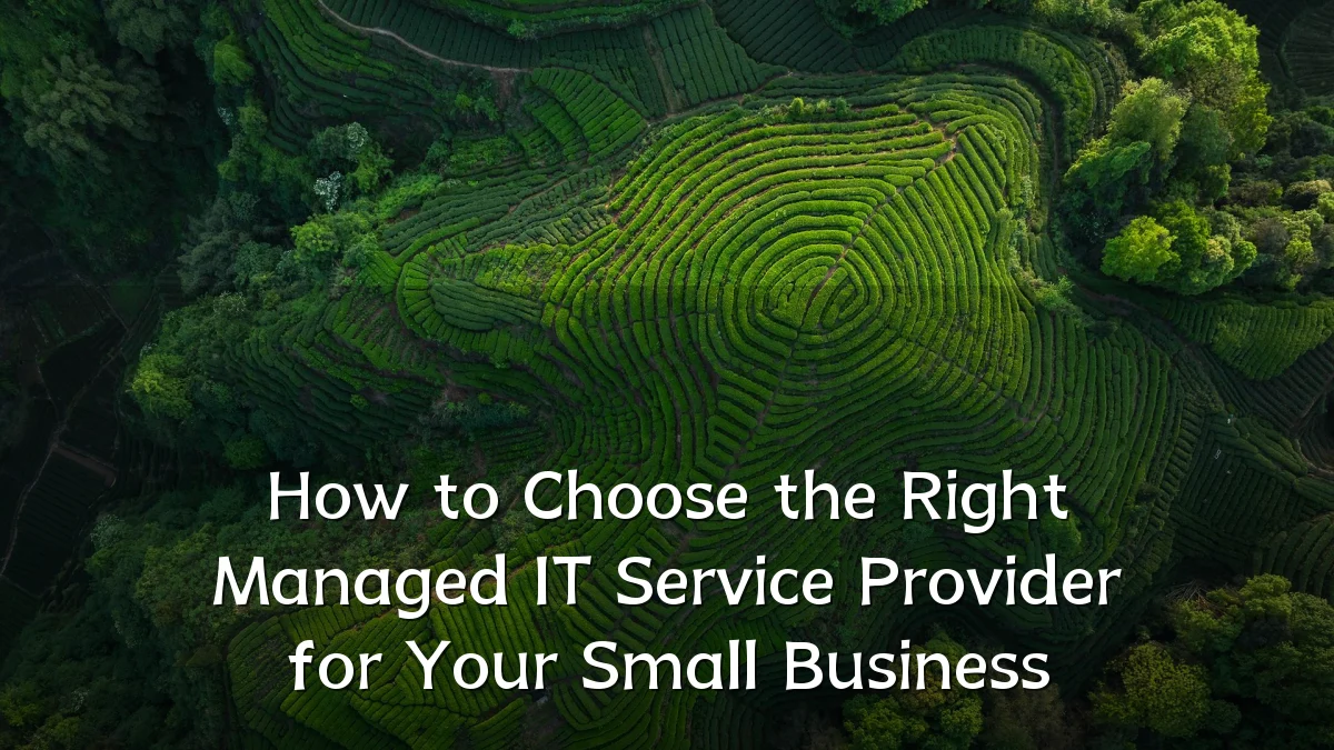 How to Choose the Right Managed IT Service Provider for Your Small Business