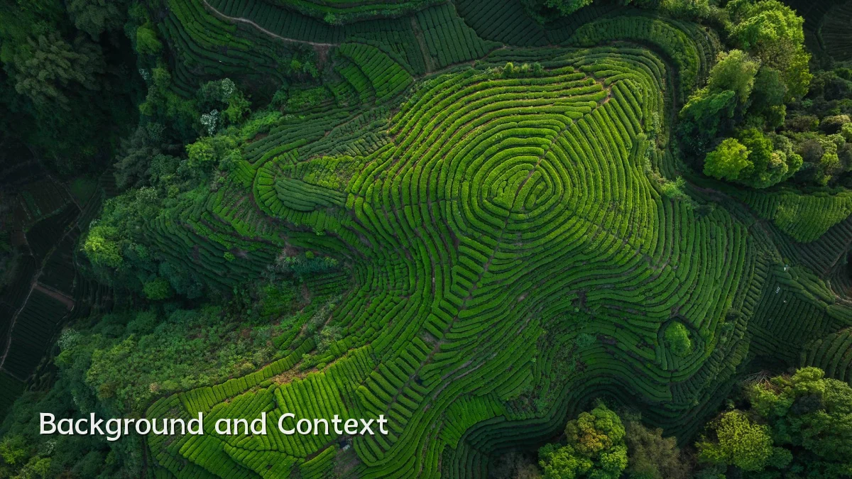 Background and Context