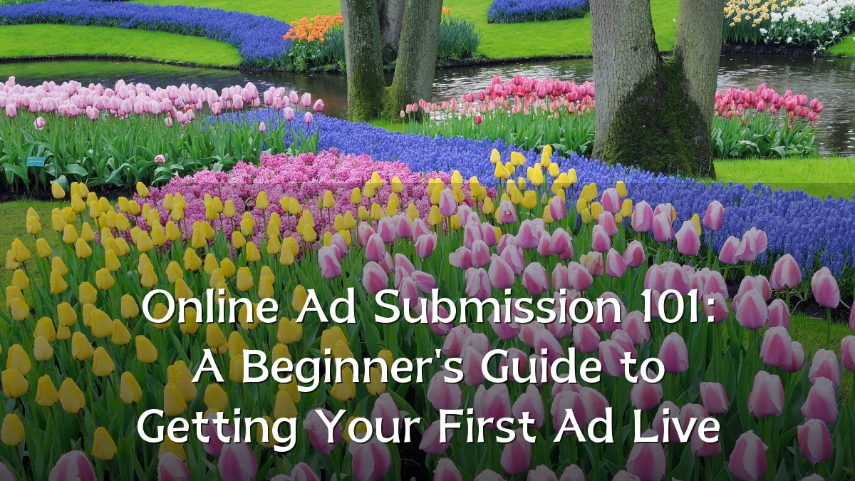 Online Ad Submission 101: A Beginner's Guide to Getting Your First Ad Live