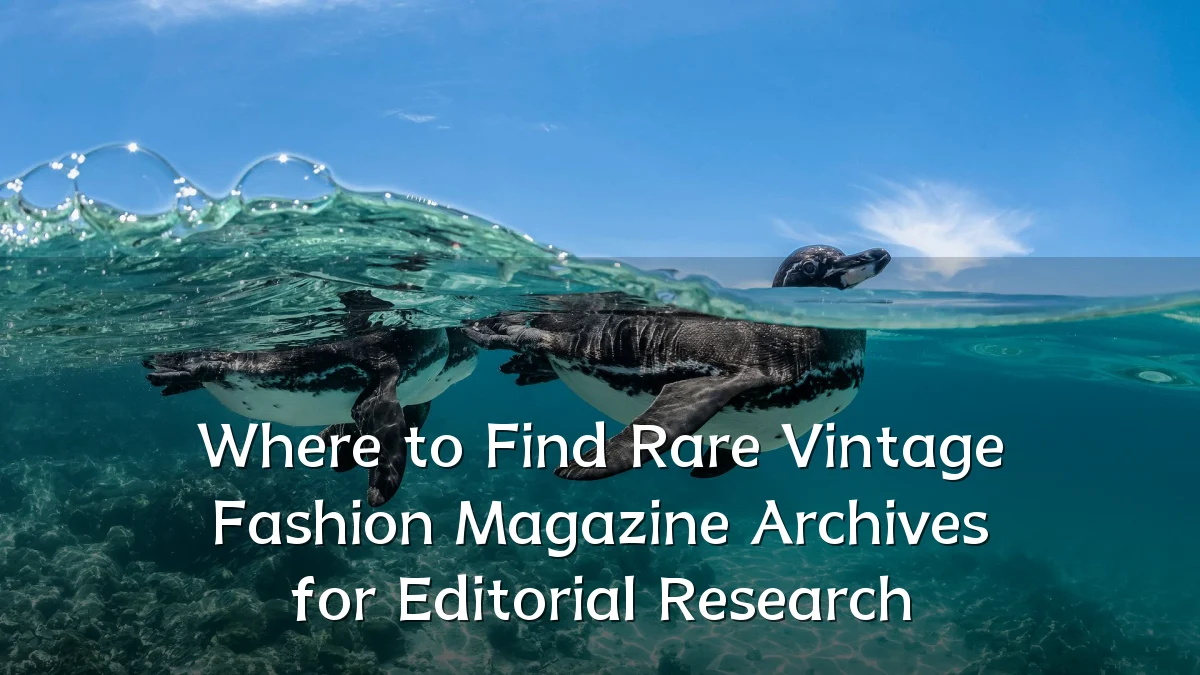 Where to Find Rare Vintage Fashion Magazine Archives for Editorial Research